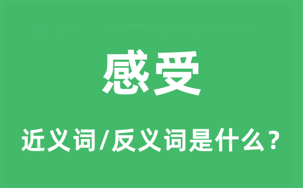 感受的近義詞和反義詞是什么,感受是什么意思