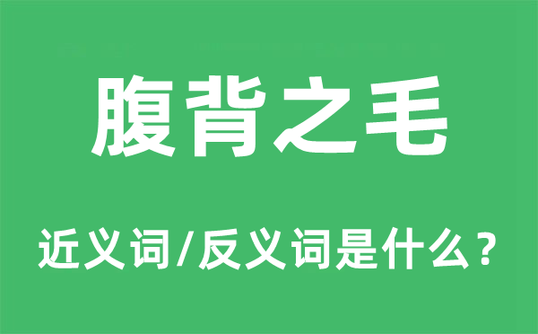 腹背之毛的近義詞和反義詞是什么,腹背之毛是什么意思