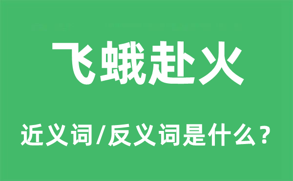 飛蛾赴火的近義詞和反義詞是什么,飛蛾赴火是什么意思