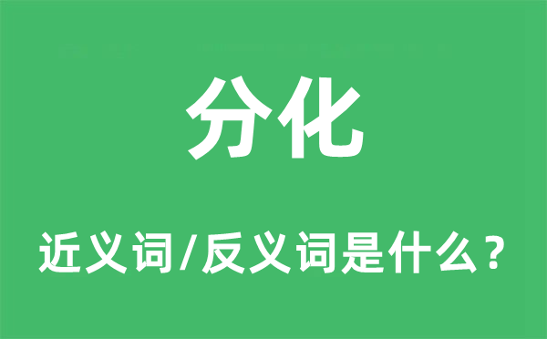 分化的近義詞和反義詞是什么,分化是什么意思