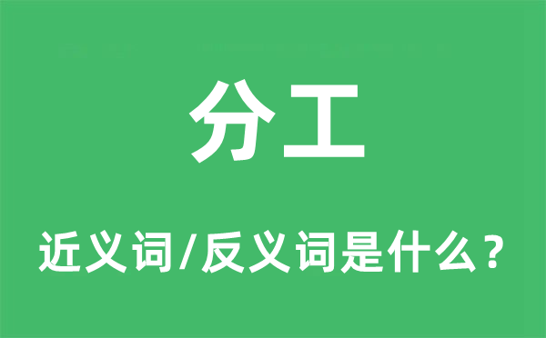 分工的近義詞和反義詞是什么,分工是什么意思