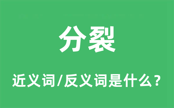 分裂的近義詞和反義詞是什么,分裂是什么意思