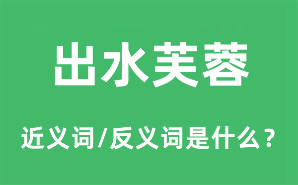 出水芙蓉的近義詞和反義詞是什么,出水芙蓉是什么意思