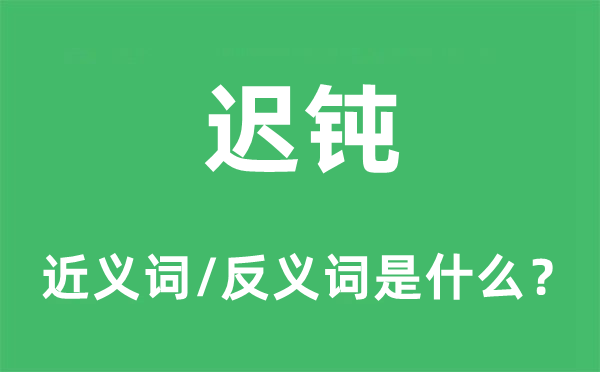 遲鈍的近義詞和反義詞是什么,遲鈍是什么意思