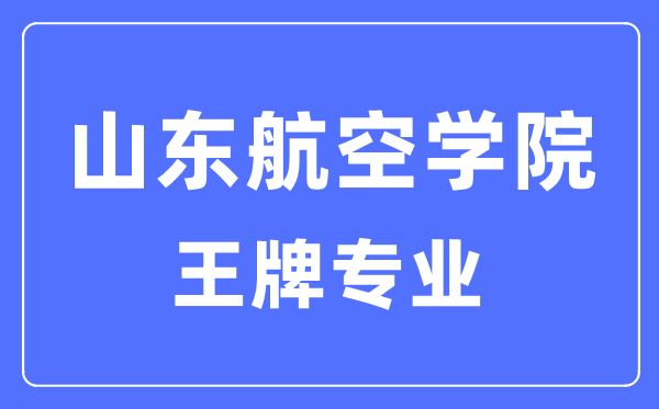 山東航空學(xué)院王牌專業(yè)是什么,有哪些專業(yè)比較好？