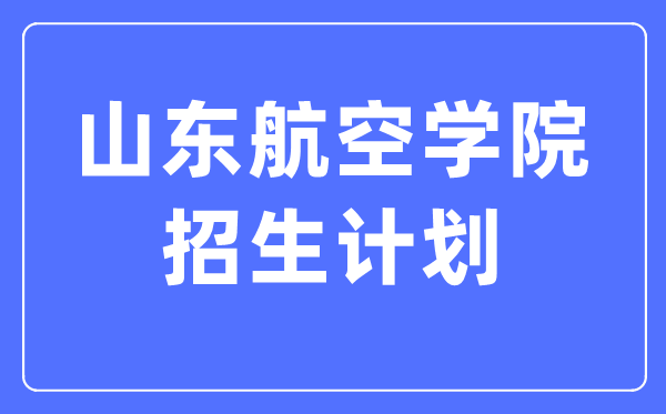2024年山東航空學(xué)院各省招生計(jì)劃及各專業(yè)招生人數(shù)是多少