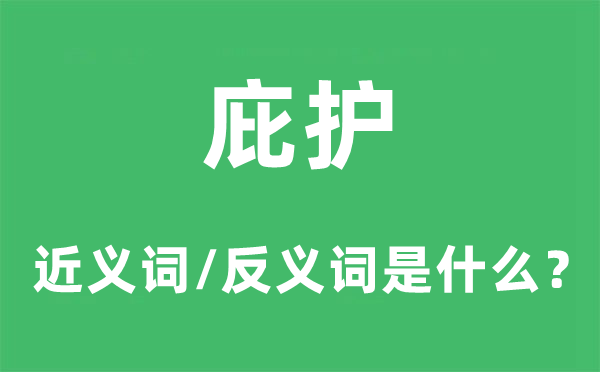庇護(hù)的近義詞和反義詞是什么,庇護(hù)是什么意思