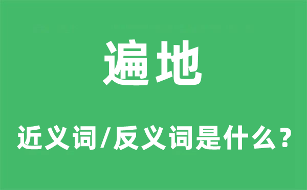 遍地的近義詞和反義詞是什么,遍地是什么意思