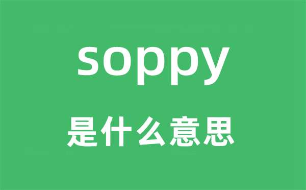 soppy是什么意思,soppy怎么讀,中文翻譯是什么