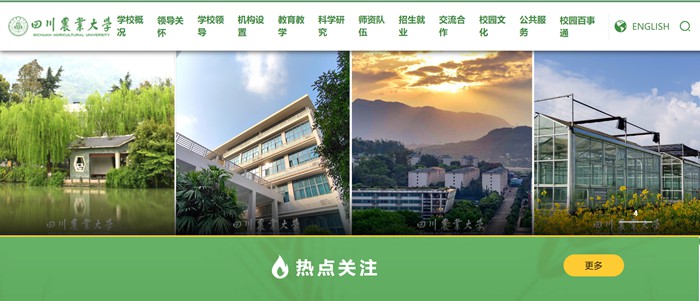 四川農(nóng)業(yè)大學官網(wǎng)網(wǎng)址（https://www.sicau.edu.cn/）