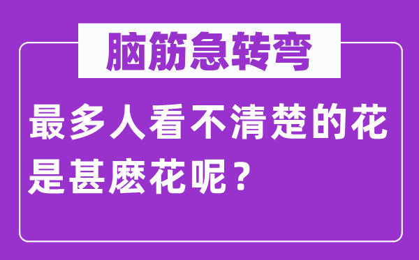 腦筋急轉(zhuǎn)彎：最多人看不清楚的花是甚麼花呢？