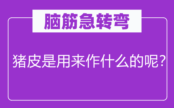 腦筋急轉(zhuǎn)彎：豬皮是用來作什么的呢？