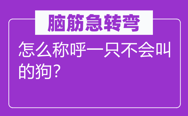 腦筋急轉(zhuǎn)彎：怎么稱呼一只不會叫的狗？