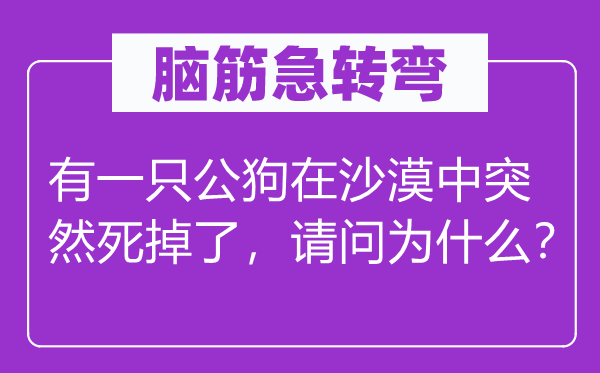 腦筋急轉(zhuǎn)彎：有一只公狗在沙漠中突然死掉了，請(qǐng)問(wèn)為什么？