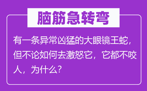 腦筋急轉(zhuǎn)彎：有一條異常兇猛的大眼鏡王蛇，但不論如何去激怒它，它都不咬人，為什么？