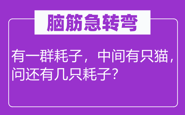 腦筋急轉(zhuǎn)彎：有一群耗子，中間有只貓，問還有幾只耗子？