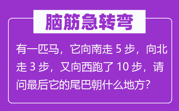 腦筋急轉(zhuǎn)彎：有一匹馬，它向南走5步，向北走3步，又向西跑了10步，請(qǐng)問(wèn)最后它的尾巴朝什么地方？