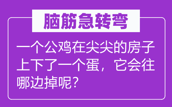 腦筋急轉(zhuǎn)彎：一個公雞在尖尖的房子上下了一個蛋，它會往哪邊掉呢？