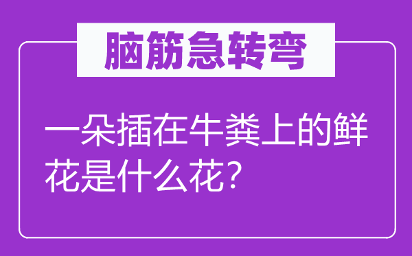 腦筋急轉彎：一朵插在牛糞上的鮮花是什么花？