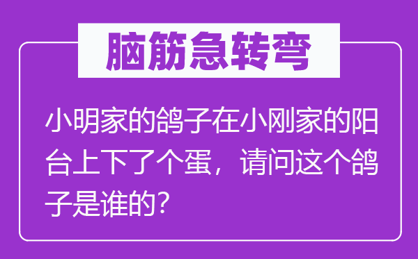 腦筋急轉(zhuǎn)彎：小明家的鴿子在小剛家的陽臺上下了個蛋，請問這個鴿子是誰的？