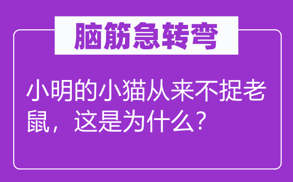 腦筋急轉(zhuǎn)彎：小明的小貓從來不捉老鼠，這是為什么？