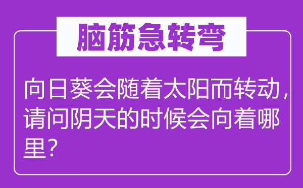 腦筋急轉(zhuǎn)彎：向日葵會(huì)隨著太陽(yáng)而轉(zhuǎn)動(dòng)，請(qǐng)問陰天的時(shí)候會(huì)向著哪里？