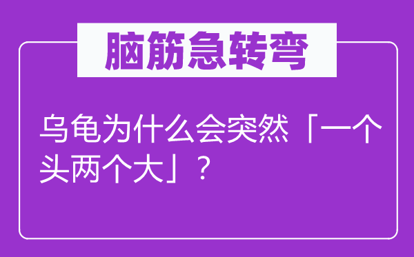 腦筋急轉(zhuǎn)彎：烏龜為什么會(huì)突然「一個(gè)頭兩個(gè)大」？