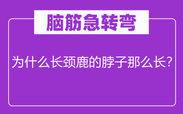 腦筋急轉(zhuǎn)彎：為什么長頸鹿的脖子那么長？