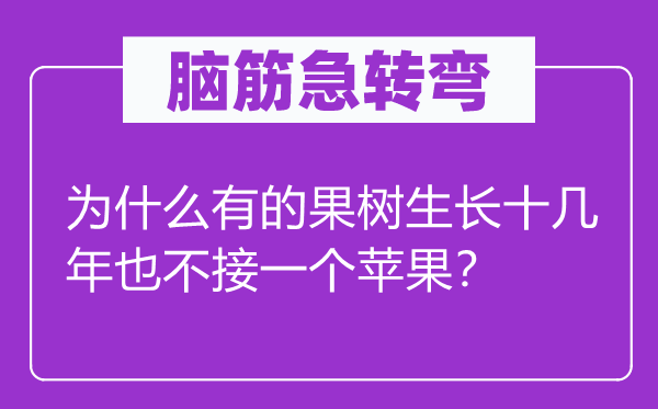 腦筋急轉彎:為什么有的果樹生長十幾年也不接一個蘋果?