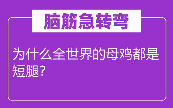 腦筋急轉(zhuǎn)彎：為什么全世界的母雞都是短腿？