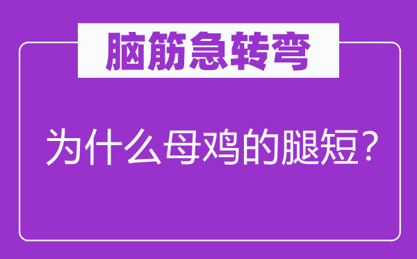 腦筋急轉(zhuǎn)彎：為什么母雞的腿短？