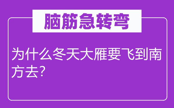 腦筋急轉(zhuǎn)彎：為什么冬天大雁要飛到南方去？