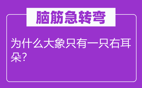腦筋急轉(zhuǎn)彎：為什么大象只有一只右耳朵？