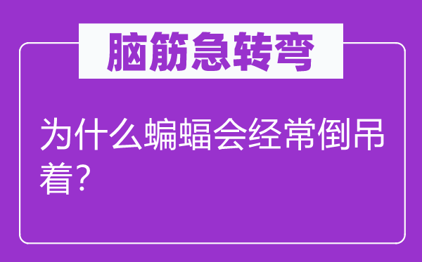 腦筋急轉(zhuǎn)彎：為什么蝙蝠會經(jīng)常倒吊著？
