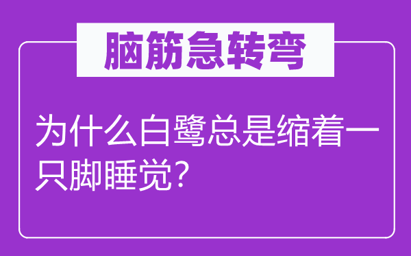腦筋急轉(zhuǎn)彎：為什么白鷺總是縮著一只腳睡覺(jué)？