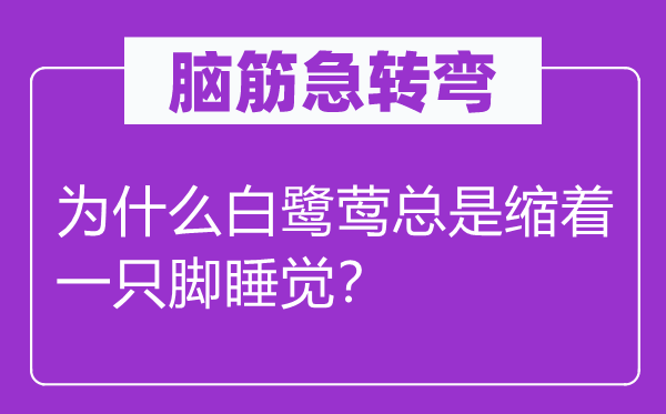腦筋急轉(zhuǎn)彎：為什么白鷺鶯總是縮著一只腳睡覺？