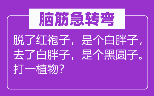 腦筋急轉(zhuǎn)彎：脫了紅袍子，是個(gè)白胖子，去了白胖子，是個(gè)黑圓子。打一植物？