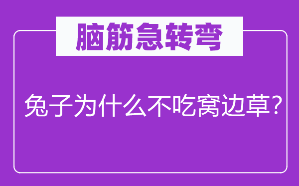 腦筋急轉(zhuǎn)彎：兔子為什么不吃窩邊草？