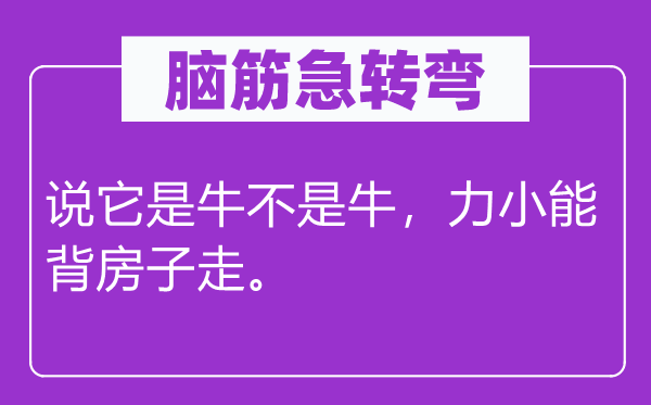 腦筋急轉(zhuǎn)彎：說(shuō)它是牛不是牛，力小能背房子走。