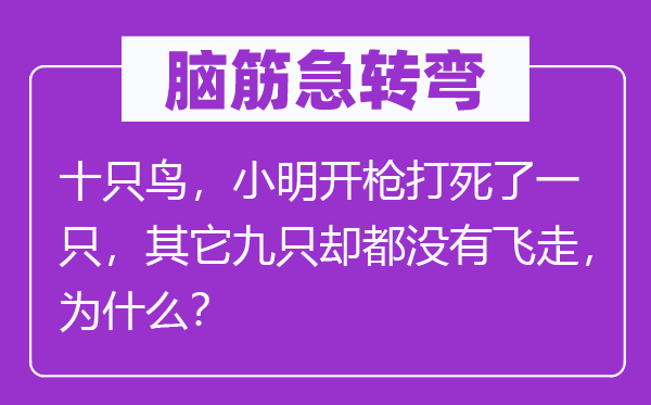 腦筋急轉(zhuǎn)彎：十只鳥，小明開槍打死了一只，其它九只卻都沒有飛走，為什么？