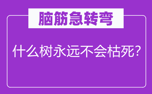 腦筋急轉(zhuǎn)彎：什么樹永遠(yuǎn)不會枯死？