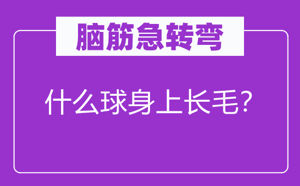腦筋急轉(zhuǎn)彎：什么球身上長毛？
