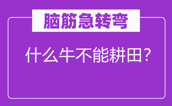 腦筋急轉(zhuǎn)彎：什么牛不能耕田？