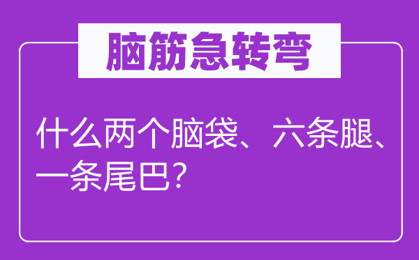 腦筋急轉(zhuǎn)彎：什么兩個腦袋、六條腿、一條尾巴？