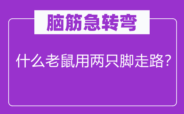 腦筋急轉(zhuǎn)彎：什么老鼠用兩只腳走路？