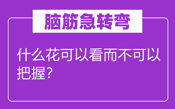 腦筋急轉(zhuǎn)彎：什么花可以看而不可以把握？