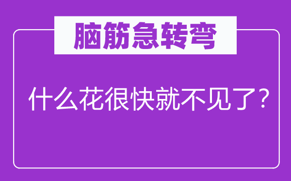 腦筋急轉(zhuǎn)彎：什么花很快就不見了？