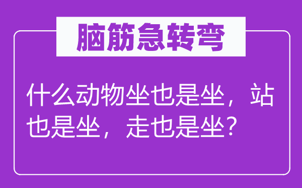 腦筋急轉(zhuǎn)彎：什么動(dòng)物坐也是坐，站也是坐，走也是坐？