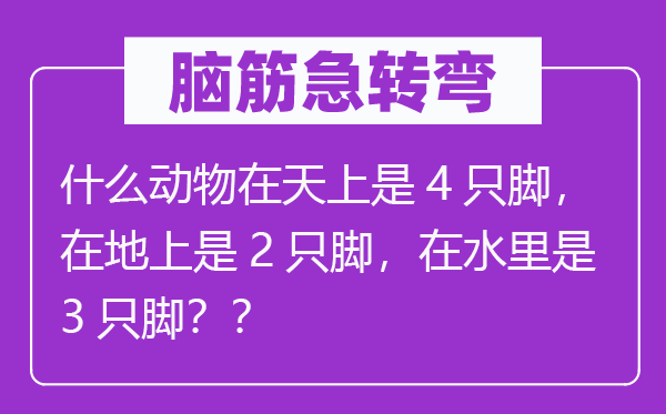 腦筋急轉(zhuǎn)彎：什么動物在天上是4只腳，在地上是2只腳，在水里是3只腳？