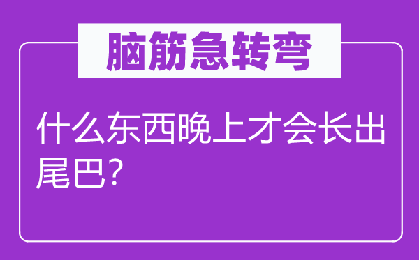 腦筋急轉(zhuǎn)彎：什么東西晚上才會(huì)長(zhǎng)出尾巴？